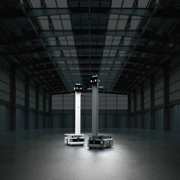 t300 dwa kolory hangar.jpg