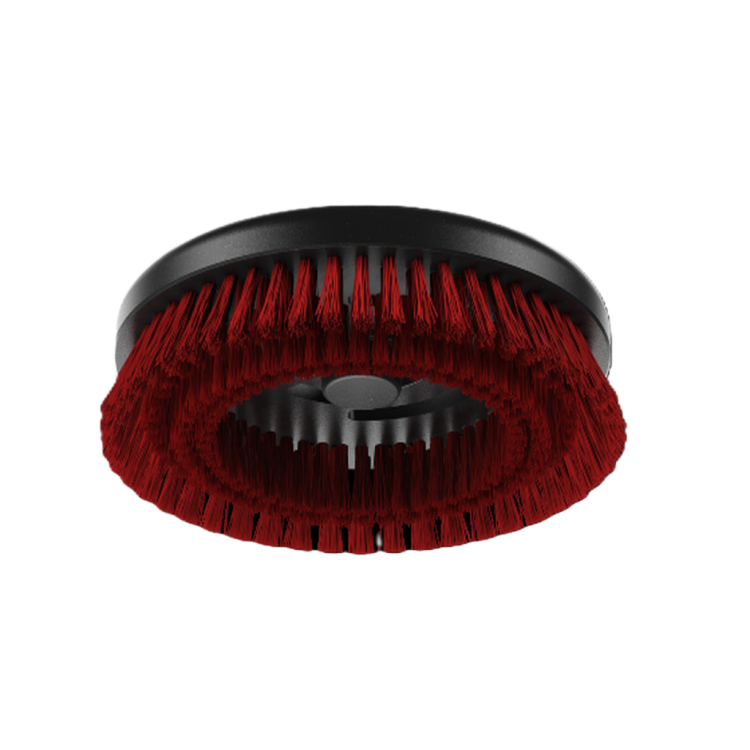 removed-background (9).png