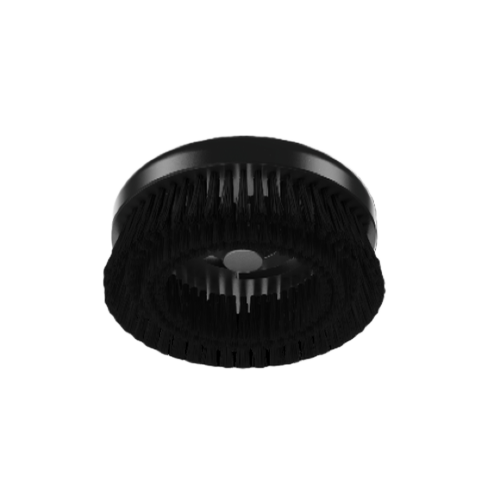 removed-background (11).png