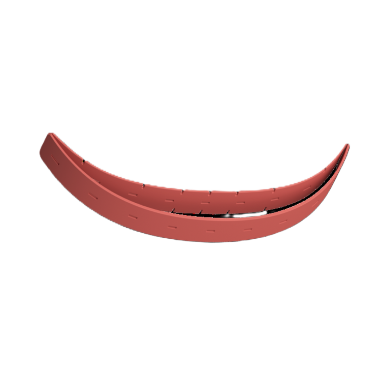 removed-background (17).png