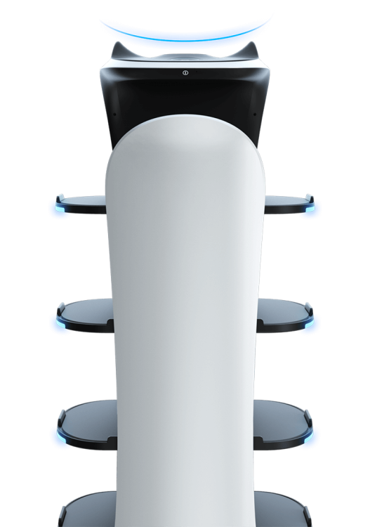 BellaBot (9).png