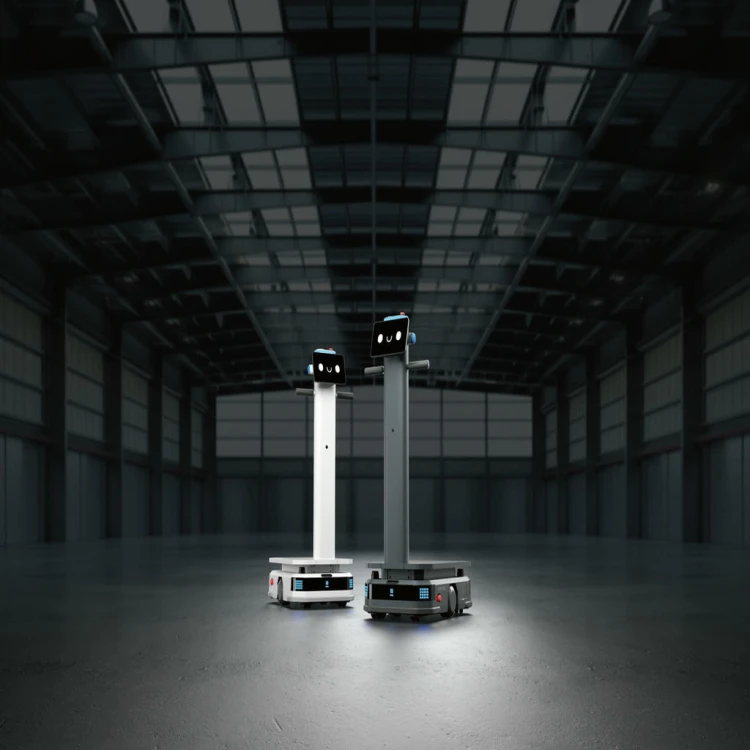 t300 dwa kolory hangar.jpg